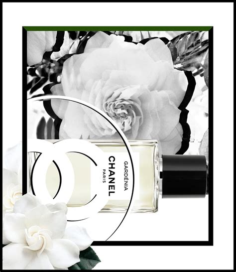 chanel gardenia myer|gardénia white camellia.